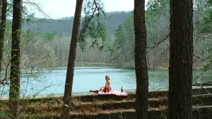 Задник к фильму "Дьявол всегда здесь" #713604