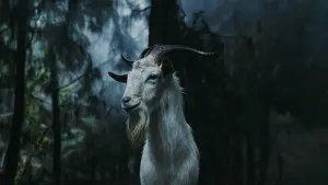 Задник к фильму "Печать ведьмы" #344097