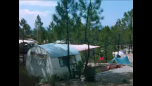 Задник к фильму "Le camping, un siècle de bonheur français" #929541