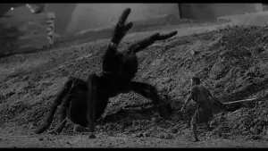 Задник к фильму "Невероятно худеющий человек" #212656