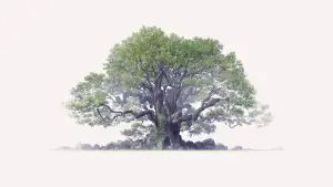 Задник к фильму "Хранитель камфорного дерева" #538625