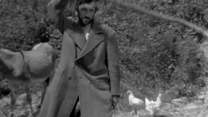 Задник к фильму "Наудачу, Бальтазар" #206220