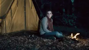 Задник к фильму "Гарри Поттер и Дары смерти: Часть I" #558262