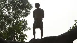 Задник к фильму "பைசன் காளமாடன்" #786328