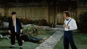 Задник к фильму "Кулак ярости" #688276