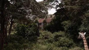 Задник к фильму "" #197559