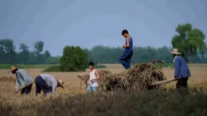 Задник к фильму "" #538869