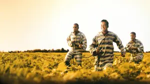 Задник к фильму "О, где же ты, брат?" #810287