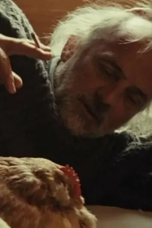 Постер к фильму "Ma Poule"