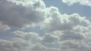 Задник к фильму "Простая история" #529147