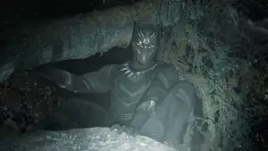 Задник к фильму "Чёрная Пантера" #563079