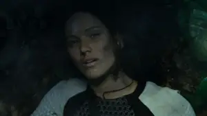 Задник к фильму "Голодные игры: И вспыхнет пламя" #625237