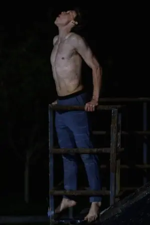 Постер к фильму "Волк" #315319