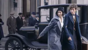 Задник к фильму "Фантастические твари и где они обитают" #590598