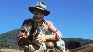 Задник к фильму "" #678432