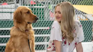 Задник к фильму "Невероятный мир глазами Энцо" #716546