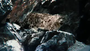 Задник к фильму "Невероятная жизнь Уолтера Митти" #637315