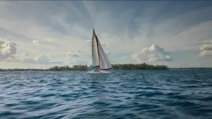 Задник к фильму "Выжившая" #373274