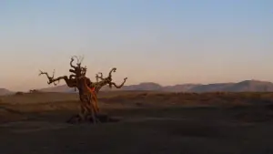 Задник к фильму "Конан Варвар" #624552