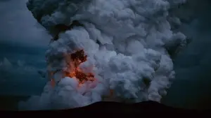 Задник к фильму "Древо жизни" #723947