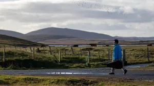 Задник к фильму "Лимб" #461332