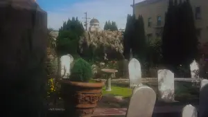 Задник к фильму "Головокружение" #635907