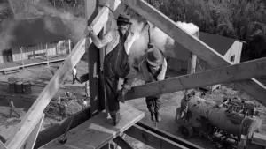 Задник к фильму "Сокровища Сьерра Мадре" #751652