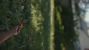 Задник к фильму "Мальчишки из «Никеля»" #598730