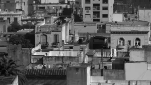 Задник к фильму "Тетро" #724041