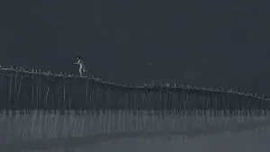 Задник к фильму "Красная черепаха" #211982