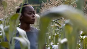 Задник к фильму "40 Акров" #596470