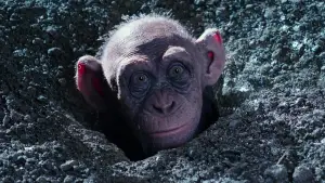 Задник к фильму "Планета обезьян: Война" #585970