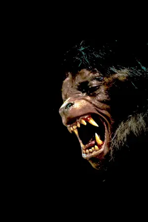 Постер к фильму "Американский оборотень в Лондоне" #220337