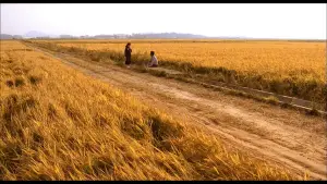 Задник к фильму "Воспоминания об убийстве" #630486