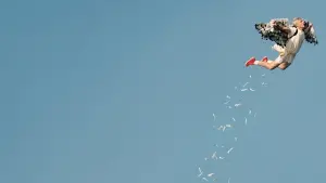 Задник к фильму "Чудаки навсегда" #348191