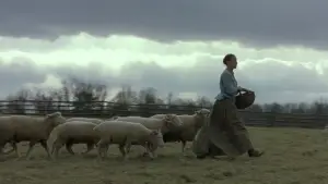 Задник к фильму "Таинственный лес" #728852