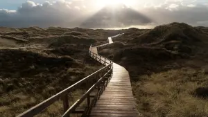 Задник к фильму "Чёрный остров" #436460