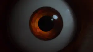 Задник к фильму "Я краснею" #581752