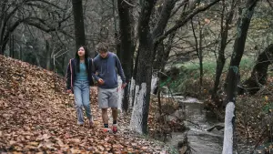 Задник к фильму "Верни её из мёртвых" #548059