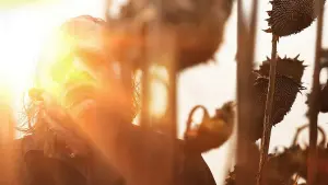 Задник к фильму "Техасская резня бензопилой" #327559