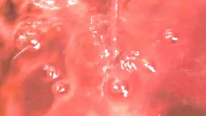 Задник к фильму "" #492137