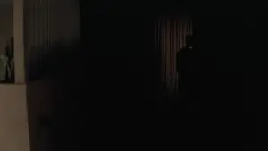 Задник к фильму "Шоссе в никуда" #533624