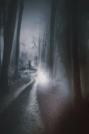 Девочка живущая вниз по переулку