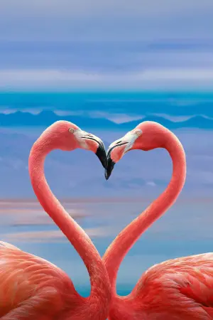 Постер к фильму "Queer Planet"