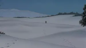 Задник к фильму "Актриса тысячелетия" #185781