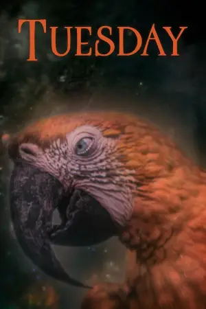 Постер к фильму "" #532823