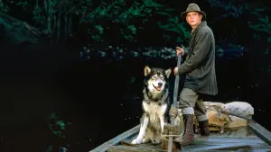 Задник к фильму "Белый клык 2: Легенда о белом волке" #393177