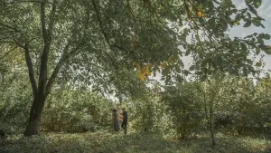 Задник к фильму "Образ" #695226