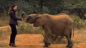 Задник к фильму "Отпуск в дикой природе" #283254