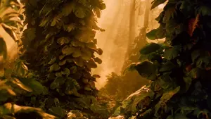 Задник к фильму "Юг Тихого океана" #419748